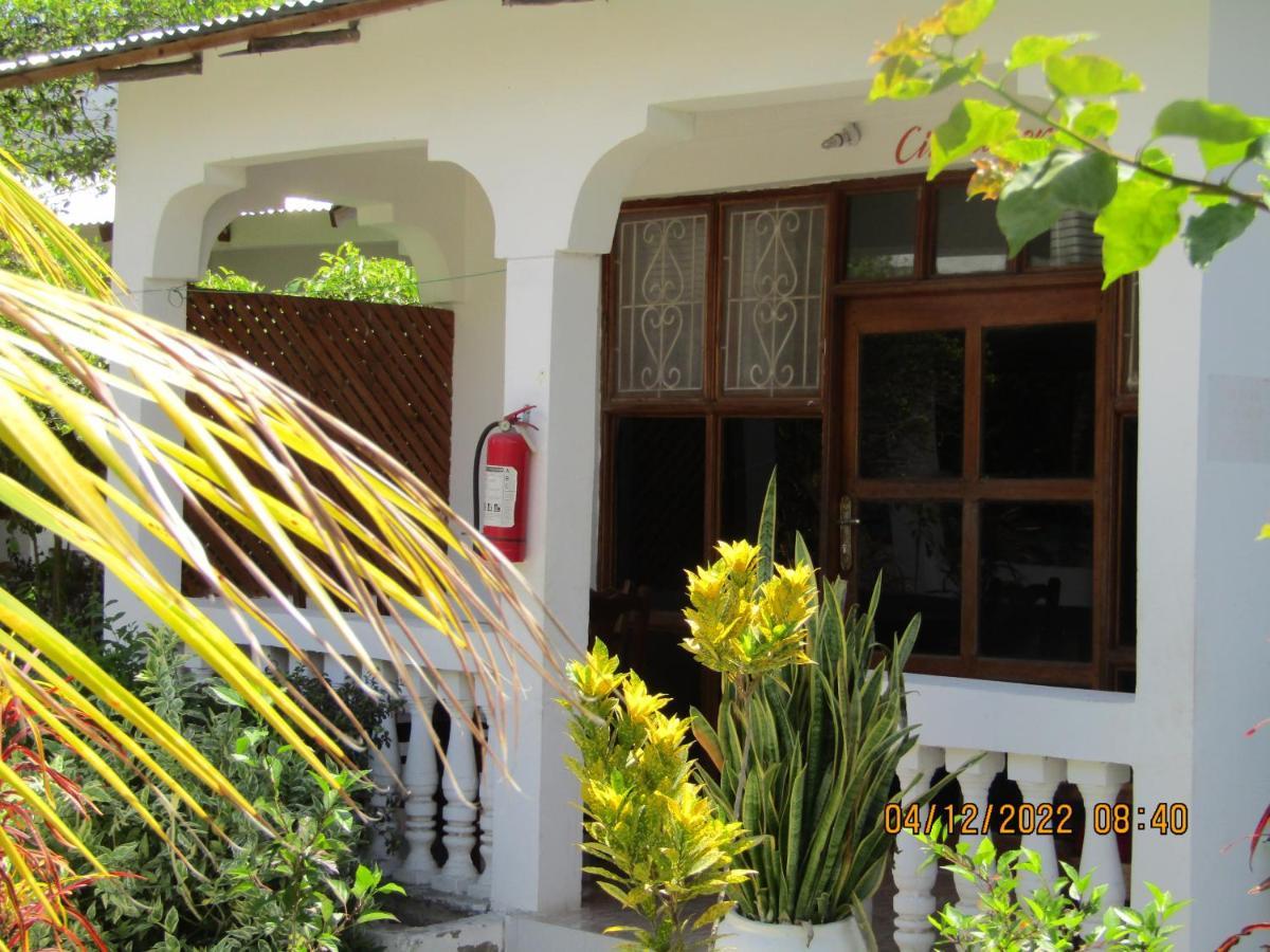 Kivulini Lodge And Restaurant Nungwi Ngoại thất bức ảnh